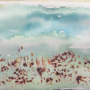 EVENING MEADOW