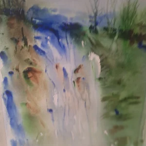 somewhere a falls