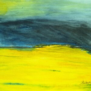 Alberta Canola Fields