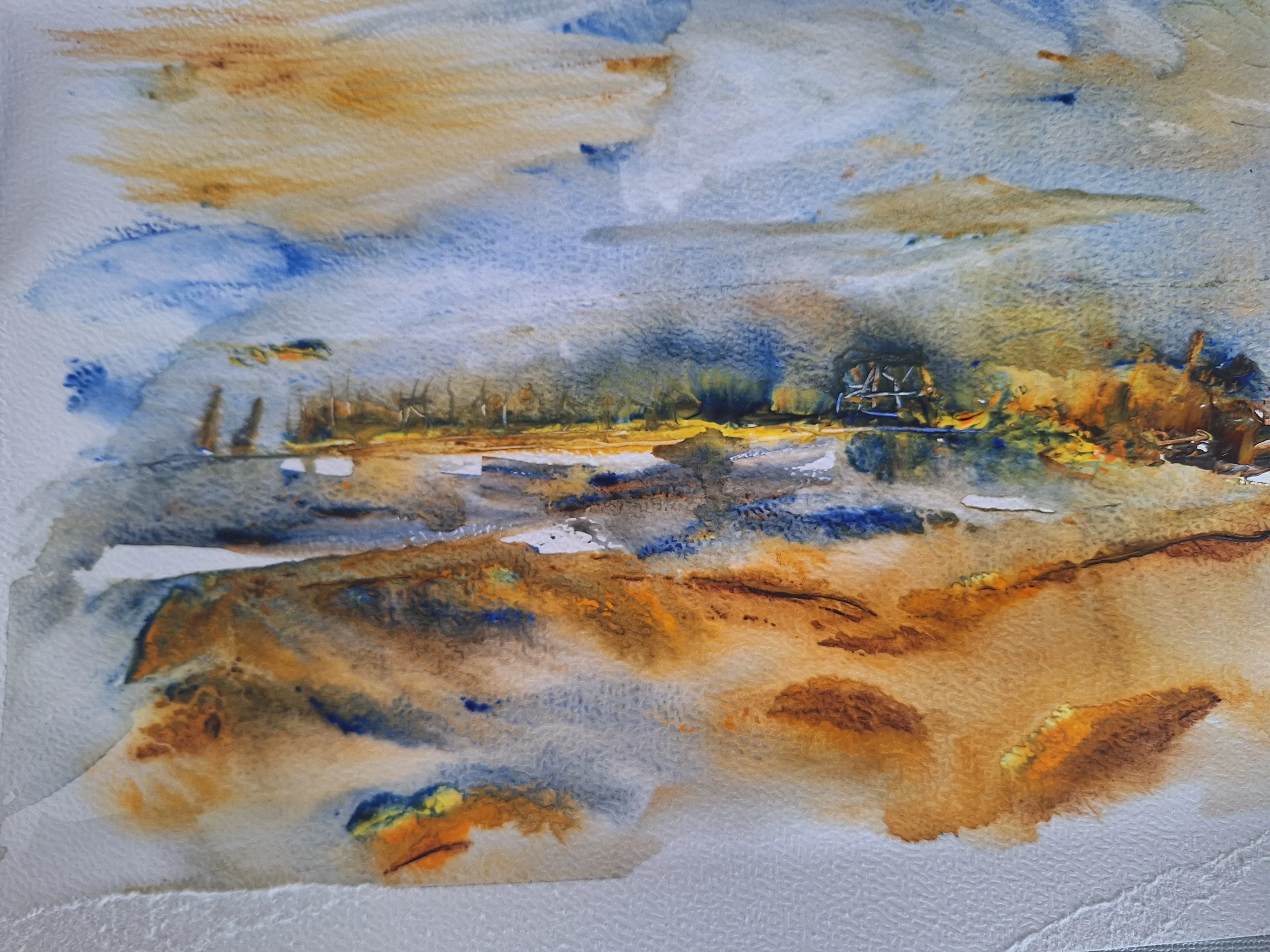 Evening Golden Marsh