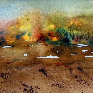 The Space Between Seasons
